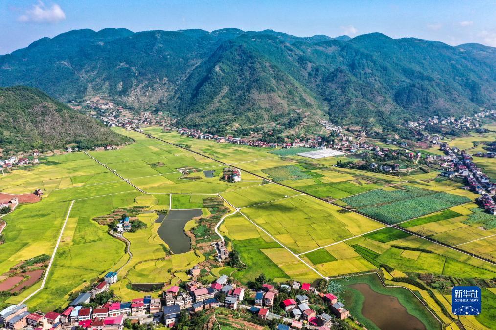 十博登录地址